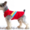 Одежда для собак мелких пород в ассортименте - <ro>Изображение</ro><ru>Изображение</ru> #10, <ru>Объявление</ru> #870991