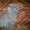 Продам шотландских вислоухих котят-очаровашек - <ro>Изображение</ro><ru>Изображение</ru> #2, <ru>Объявление</ru> #897192