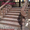 Лестницы гранитные Балясины - <ro>Изображение</ro><ru>Изображение</ru> #2, <ru>Объявление</ru> #933480