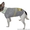 Одежда животным свитер Такси - <ro>Изображение</ro><ru>Изображение</ru> #5, <ru>Объявление</ru> #915563