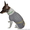 Одежда животным свитер Такси - <ro>Изображение</ro><ru>Изображение</ru> #3, <ru>Объявление</ru> #915563