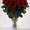 Розы 101 роза цветы низкие цены #955672