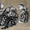 Вязка.Скоттиш фолд черный мрамор на серебре. - <ro>Изображение</ro><ru>Изображение</ru> #4, <ru>Объявление</ru> #1016824