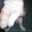 щенок среднеазиатской овчарки - <ro>Изображение</ro><ru>Изображение</ru> #3, <ru>Объявление</ru> #1020740