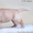 Палевые щенки лабрадоров - <ro>Изображение</ro><ru>Изображение</ru> #5, <ru>Объявление</ru> #1023005