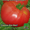 помидоры серии Сибирский сад  Сибирский Козырь #1023993