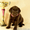 Красивые шоколадные щенки лабрадора - <ro>Изображение</ro><ru>Изображение</ru> #1, <ru>Объявление</ru> #1035535