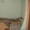 Сдам жилье в Святогорске на время отдыха - <ro>Изображение</ro><ru>Изображение</ru> #1, <ru>Объявление</ru> #1057192