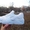 Новая модель кроссовок Nike Huarach и еще множество товаров  - <ro>Изображение</ro><ru>Изображение</ru> #2, <ru>Объявление</ru> #1375392