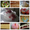 Уникальные торты на заказ в Донецке - <ro>Изображение</ro><ru>Изображение</ru> #1, <ru>Объявление</ru> #1366974