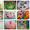 Детские торты на заказ - <ro>Изображение</ro><ru>Изображение</ru> #6, <ru>Объявление</ru> #1361650