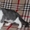 Шотландские котята от родителей -чемпионов  - <ro>Изображение</ro><ru>Изображение</ru> #1, <ru>Объявление</ru> #1508233