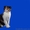 Шотландские котята нарядных окрасов  - <ro>Изображение</ro><ru>Изображение</ru> #1, <ru>Объявление</ru> #1508234