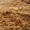 Карьерный песок от КП Недра, опт и мелкий опт. - <ro>Изображение</ro><ru>Изображение</ru> #2, <ru>Объявление</ru> #1506515