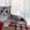 Клубные котята шотландской породы. - <ro>Изображение</ro><ru>Изображение</ru> #2, <ru>Объявление</ru> #1588694