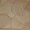 брусчатка из песчаника эксклюзивная  - <ro>Изображение</ro><ru>Изображение</ru> #5, <ru>Объявление</ru> #1645102