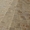 окатанная брусчатка из песчаника природного   - <ro>Изображение</ro><ru>Изображение</ru> #2, <ru>Объявление</ru> #1645101