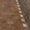 окатанная брусчатка из песчаника природного   - <ro>Изображение</ro><ru>Изображение</ru> #3, <ru>Объявление</ru> #1645101