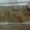 пиленная брусчатка из песчаника природного  - <ro>Изображение</ro><ru>Изображение</ru> #7, <ru>Объявление</ru> #1645100