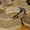 окатанный камень песчаник природный  - <ro>Изображение</ro><ru>Изображение</ru> #4, <ru>Объявление</ru> #1645093