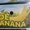 производитель бананов Эквадор - <ro>Изображение</ro><ru>Изображение</ru> #1, <ru>Объявление</ru> #481445