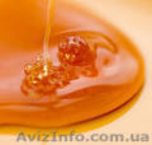 Продам высококачественный мед - <ro>Изображение</ro><ru>Изображение</ru> #1, <ru>Объявление</ru> #97131