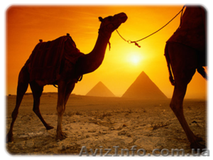 Экскурсии по Египту из Шарм-эль-Шейха - <ro>Изображение</ro><ru>Изображение</ru> #1, <ru>Объявление</ru> #116938
