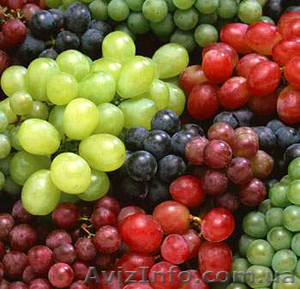 Частный плодово-ягодный питомник - <ro>Изображение</ro><ru>Изображение</ru> #1, <ru>Объявление</ru> #136491