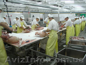 оборудование для производства колбасы, мясных деликатесов - <ro>Изображение</ro><ru>Изображение</ru> #1, <ru>Объявление</ru> #153632