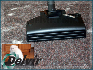 Delvir -  лучший моющий пылесос   электровыбивалка    - <ro>Изображение</ro><ru>Изображение</ru> #1, <ru>Объявление</ru> #195443
