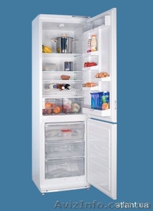 Атлант холодильники  - <ro>Изображение</ro><ru>Изображение</ru> #2, <ru>Объявление</ru> #169193