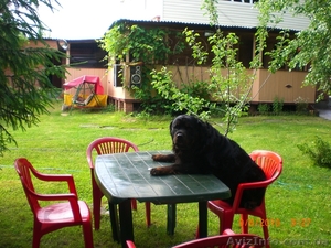 Отдых на уютной даче в деревне Студенок  и 2 ком.квартира в центре Св