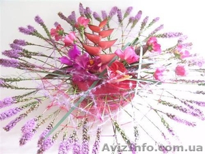 Курси флористики у Львові,  курси флористів