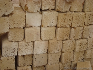 ракушечник крымский привезём