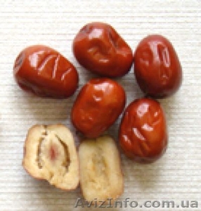 Подсушенные плоды Zizyphus jujuba dried fruit Зизифус, Китайская жужуба - <ro>Изображение</ro><ru>Изображение</ru> #1, <ru>Объявление</ru> #478927