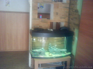 Продам аквариум-срочно!!! - <ro>Изображение</ro><ru>Изображение</ru> #1, <ru>Объявление</ru> #500912