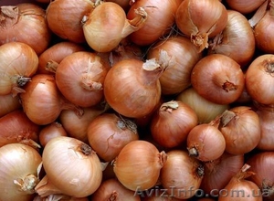 Продам лук Халцедон