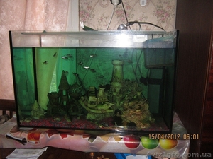 Продам аквариум 150 литров - <ro>Изображение</ro><ru>Изображение</ru> #1, <ru>Объявление</ru> #648809
