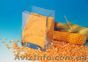 Кормовые добавки: глюкоза, кукурузный глютен, кукурузный зародыш, треонин, лизин - <ro>Изображение</ro><ru>Изображение</ru> #1, <ru>Объявление</ru> #730770