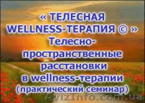 ТЕЛЕСНАЯ WELLNESS -ТЕРАПИЯ Wellness bodywork - <ro>Изображение</ro><ru>Изображение</ru> #1, <ru>Объявление</ru> #770029