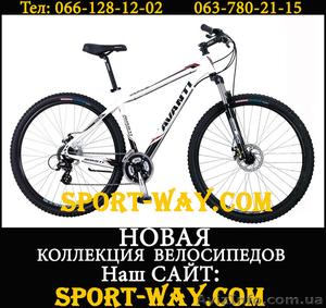 Купить Горный велосипед в Крыму,  AVANTI Avalon PRO 29