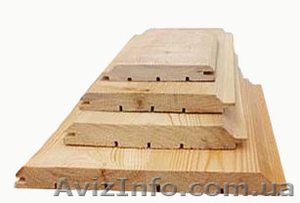 Сибирская лиственница Запорожье