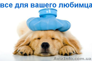 Ветеринарный центр VELES - <ro>Изображение</ro><ru>Изображение</ru> #1, <ru>Объявление</ru> #853812