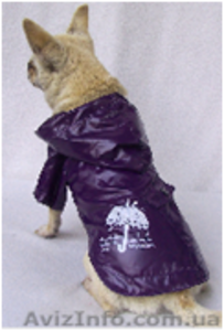Одежда для собак мелких пород в ассортименте - <ro>Изображение</ro><ru>Изображение</ru> #3, <ru>Объявление</ru> #870991