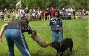 Дрессировка собак Макеевка,  Донецк и область