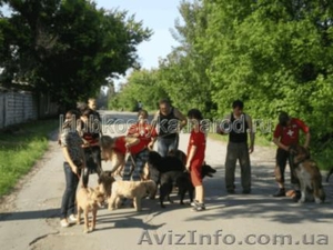 Услуги животным Донецк и область.