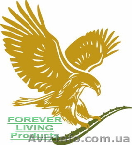 Сотрудничество с компанией Forever Living Products