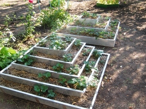 Пирамида под клубнику 5ти ярусная