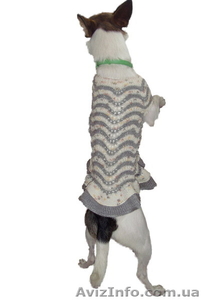 Одежда животным платье Волна - <ro>Изображение</ro><ru>Изображение</ru> #7, <ru>Объявление</ru> #915565