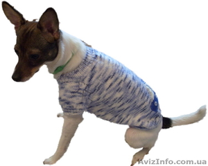 Одежда животным свитер Кораблик - <ro>Изображение</ro><ru>Изображение</ru> #5, <ru>Объявление</ru> #938696